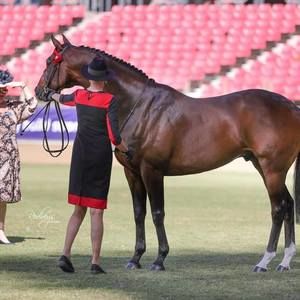 Meet your Posher, Su